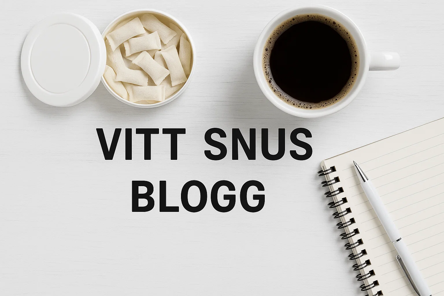 snus blogg